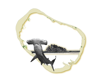 clipperton-expedition-2016-logo